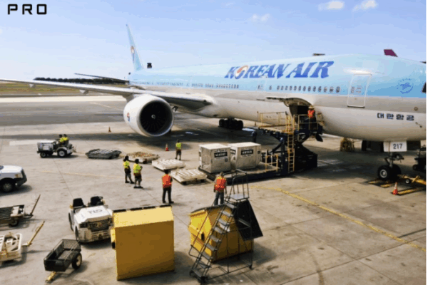 대전유성선병원_하와이 (뇌출혈)