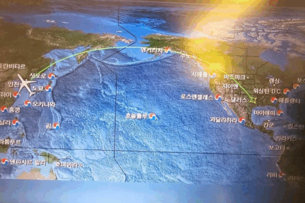 인하대병원_미국 (심정지)